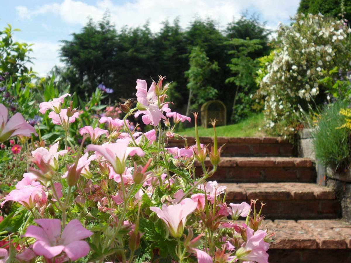 Odle Farm Villa Honiton Luaran gambar