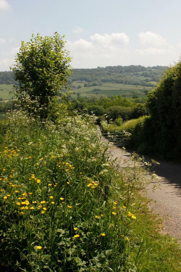 Odle Farm Villa Honiton Luaran gambar