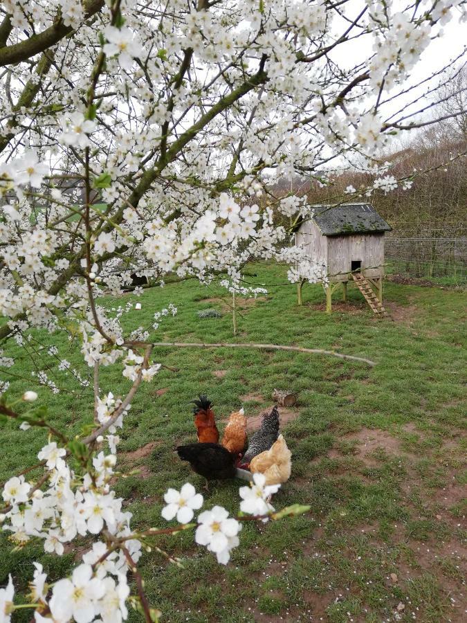 Odle Farm Villa Honiton Luaran gambar